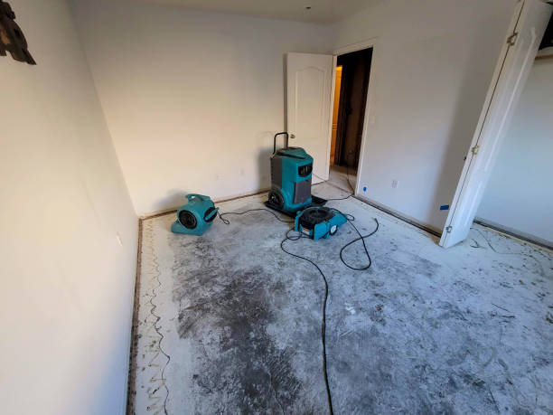 Best Ceiling water damage repair  in Lake Barrington, IL