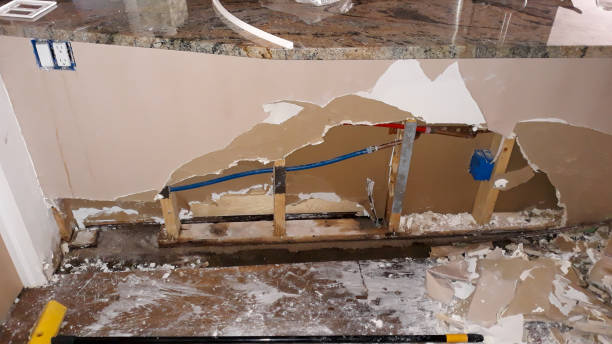Best Water damage restoration near me  in Lake Barrington, IL