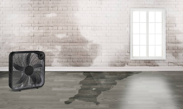 Best Commercial water damage restoration  in Lake Barrington, IL
