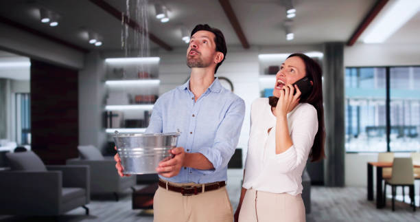 Best Water damage cleanup near me  in Lake Barrington, IL