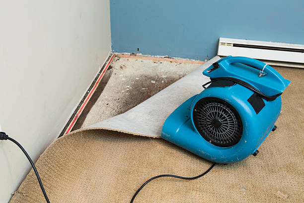 Best Sewage cleanup and water damage restoration  in Lake Barrington, IL